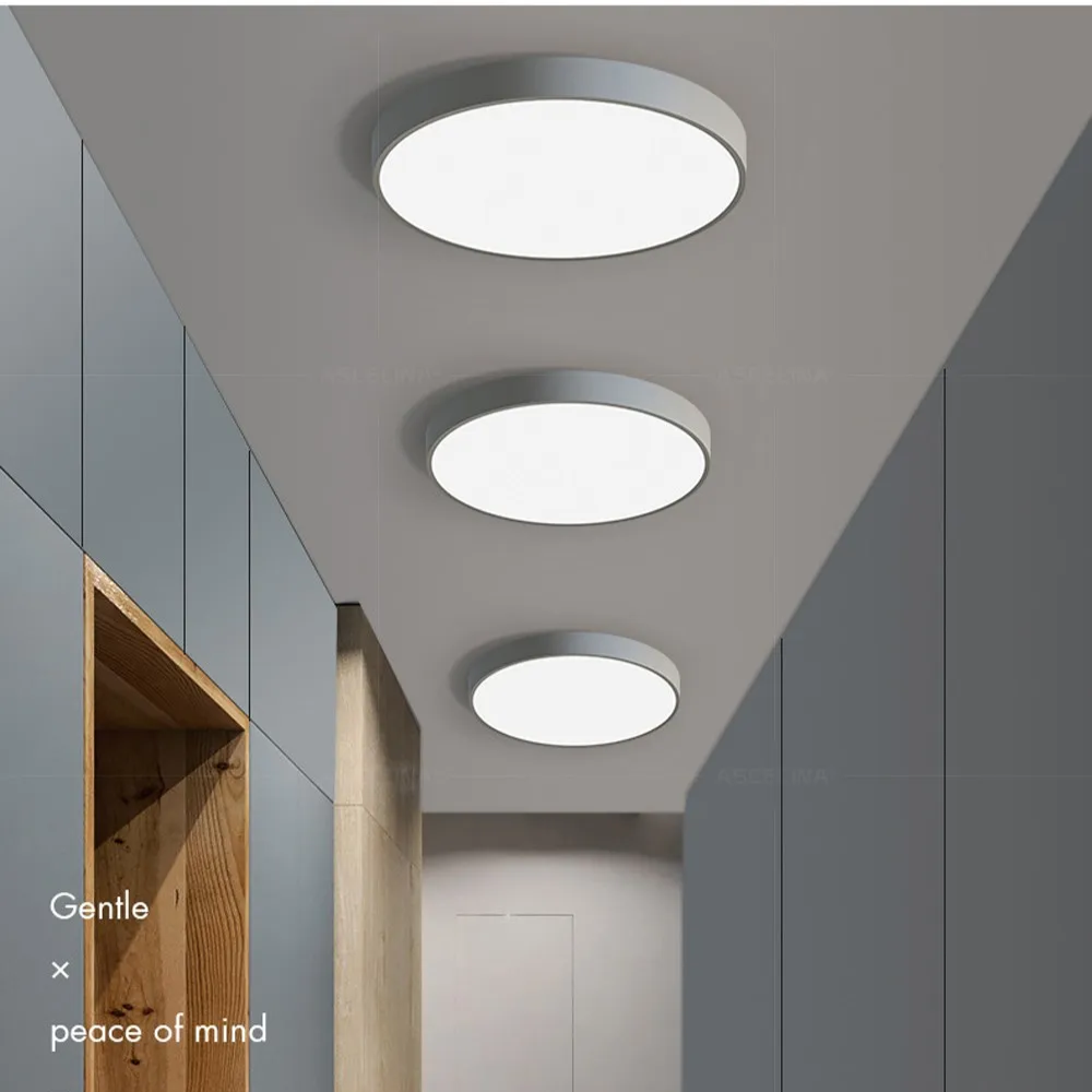 Round Low-Profile Ceiling Light – Gray