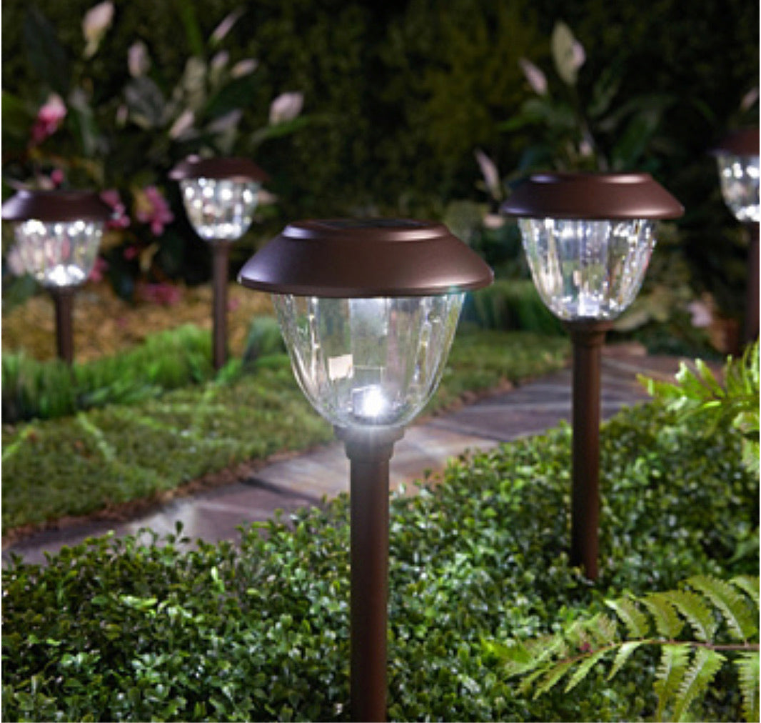 Pathway Stainless Steel Solar Lights, Set of 8