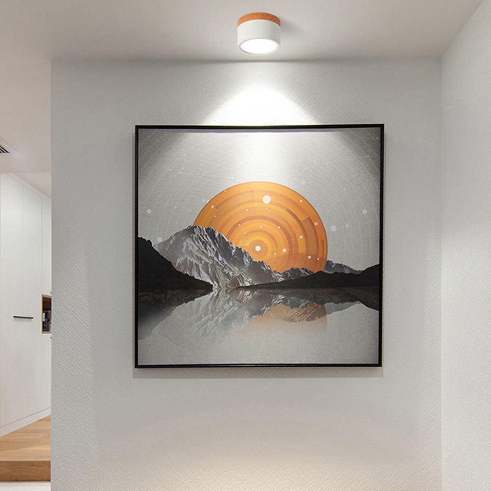 Ceiling Lamp with a Wooden Accent – product view