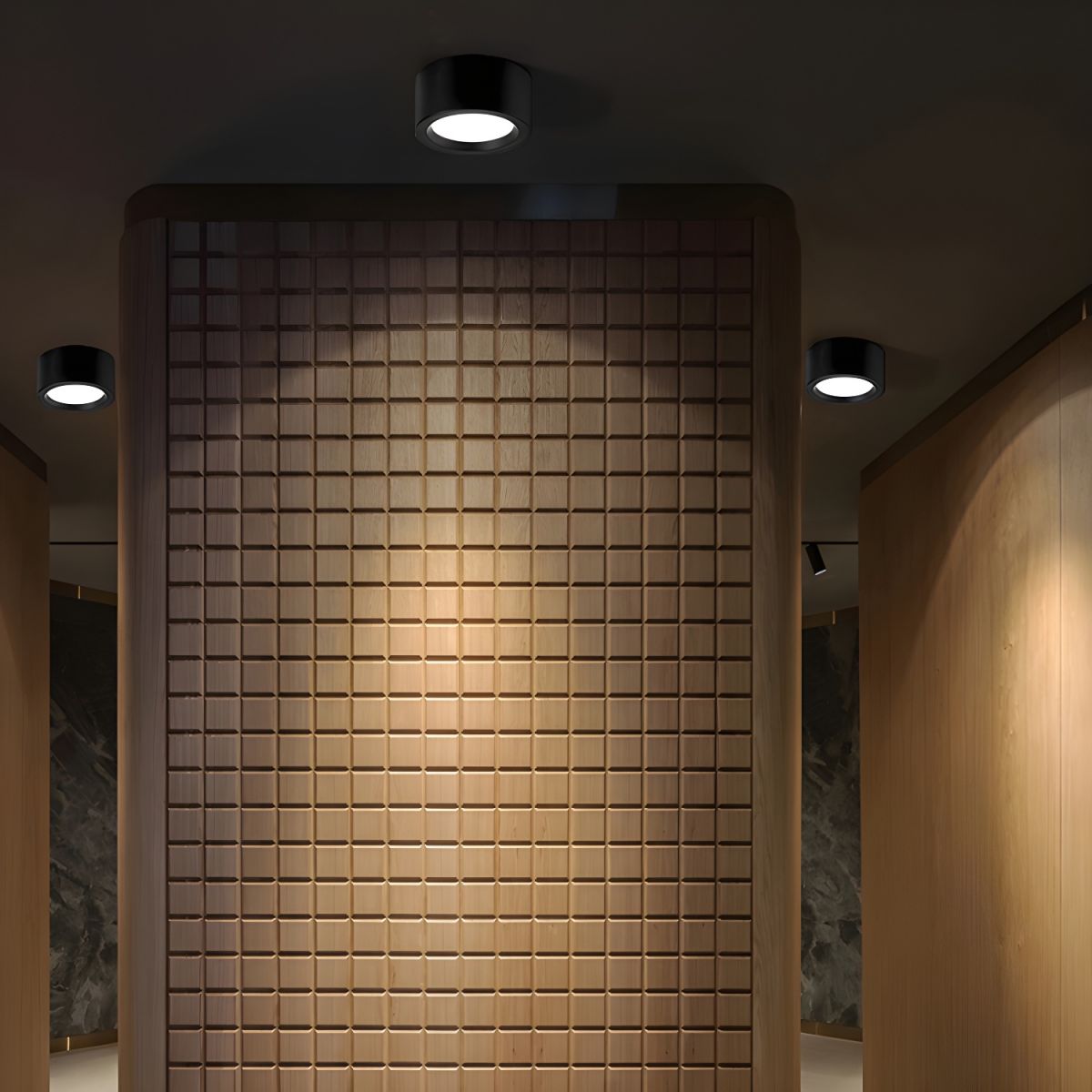 Cylindrical LED Ceiling Lamp – product view