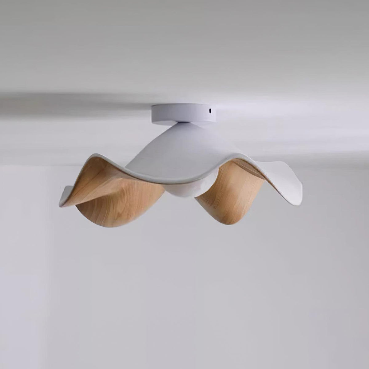 Organic Flush-Mount Ceiling Light – product view