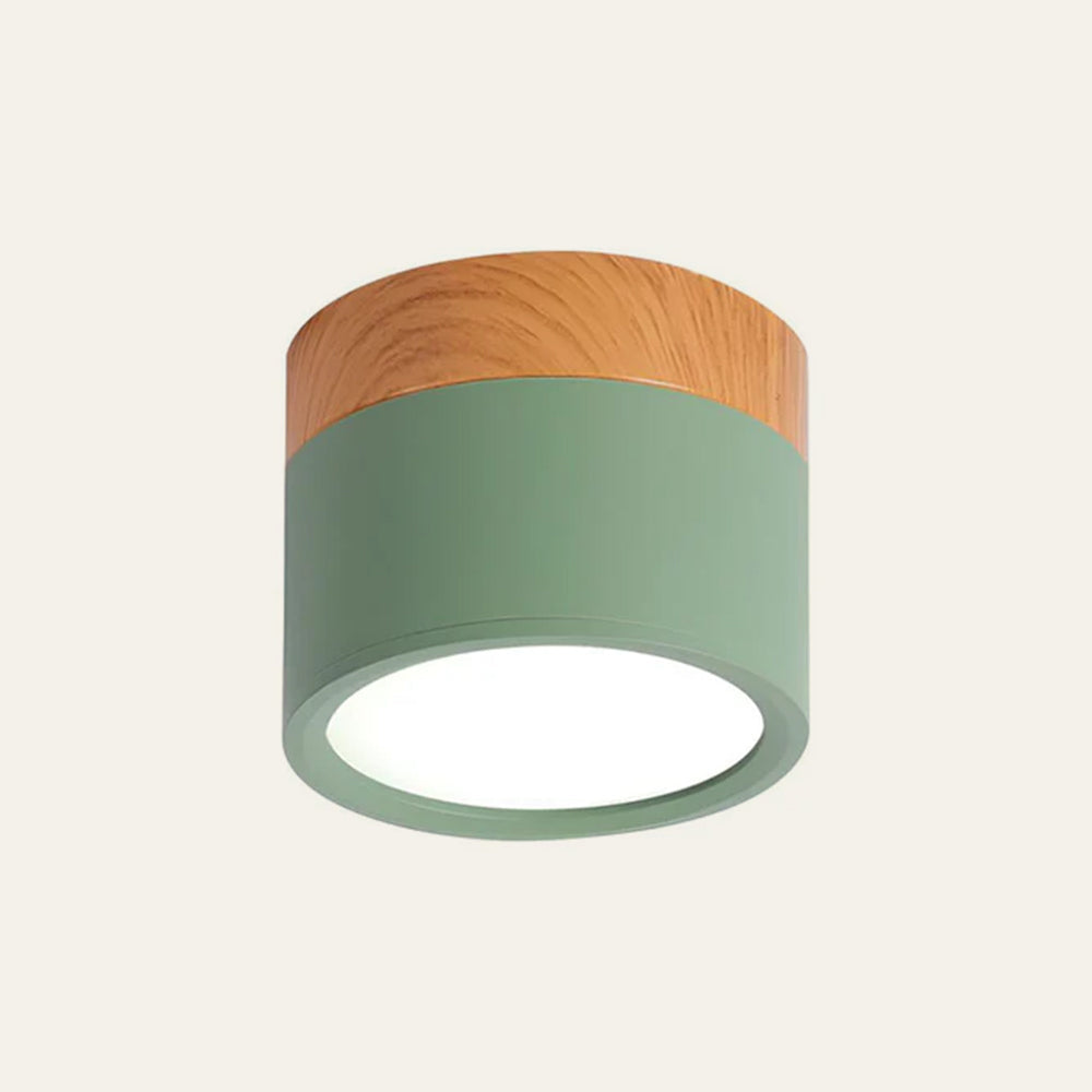 Ceiling Lamp with a Wooden Accent – Green